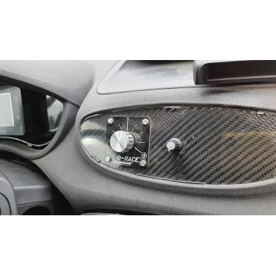 Module direction assistée electrique