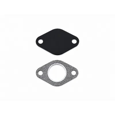 Kit plaque suppression EGR TDI Audi Volkswagen Seat Skoda