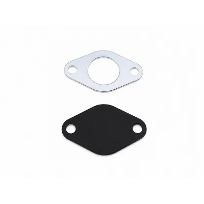 plaque suppression EGR TDI Audi Volkswagen Seat Skoda