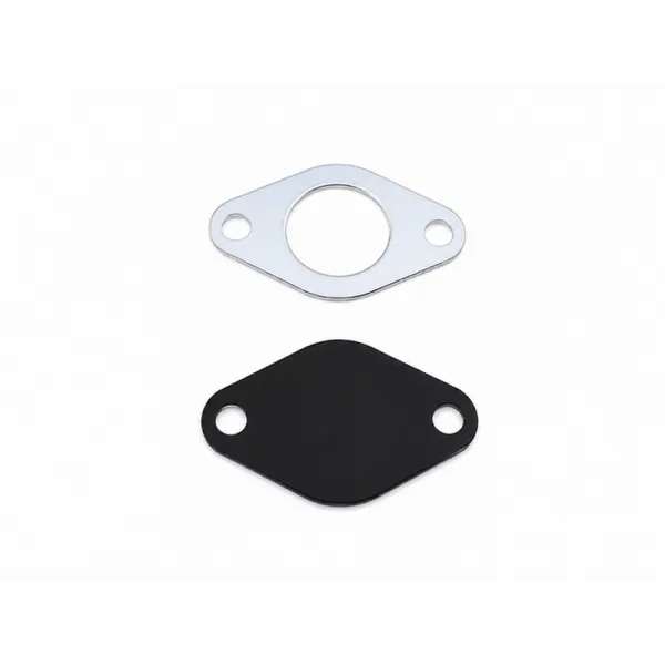 plaque suppression EGR TDI Audi Volkswagen Seat Skoda