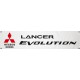 Bannière Lancer Evolution PVC